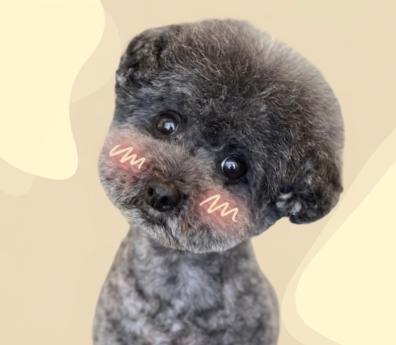 pup2