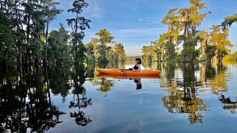 swamp.png